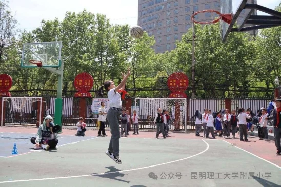 美国篮球训练计划一整套_2
